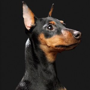 Meet your Posher, Quinton